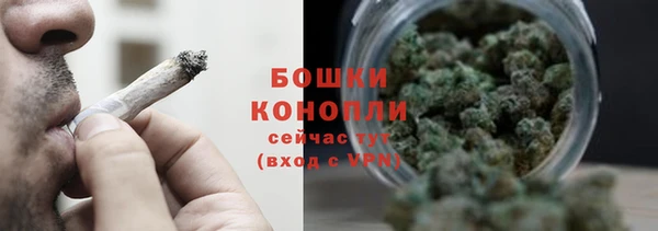 трава Аркадак